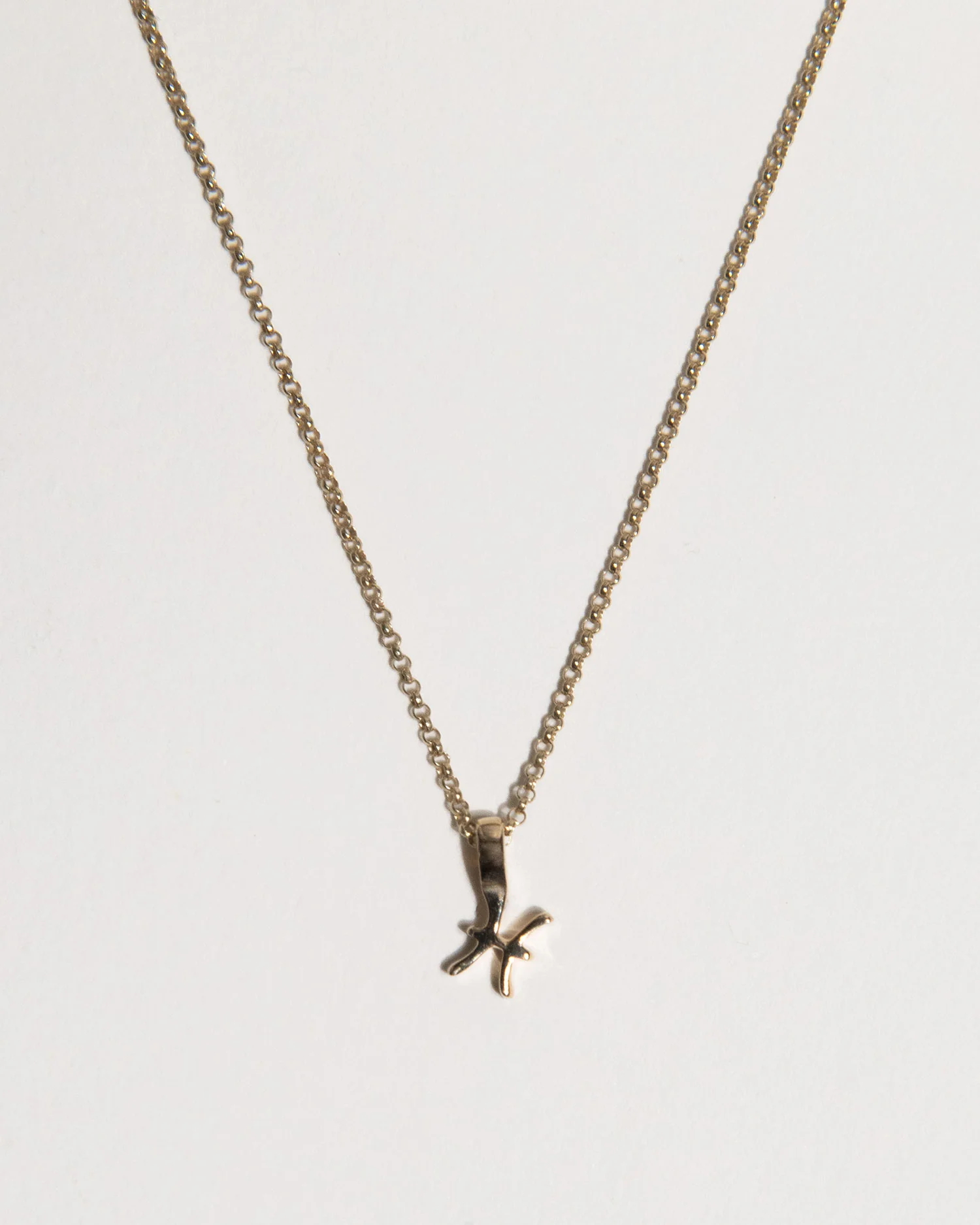 Zodiac Charm Necklace - Image 10