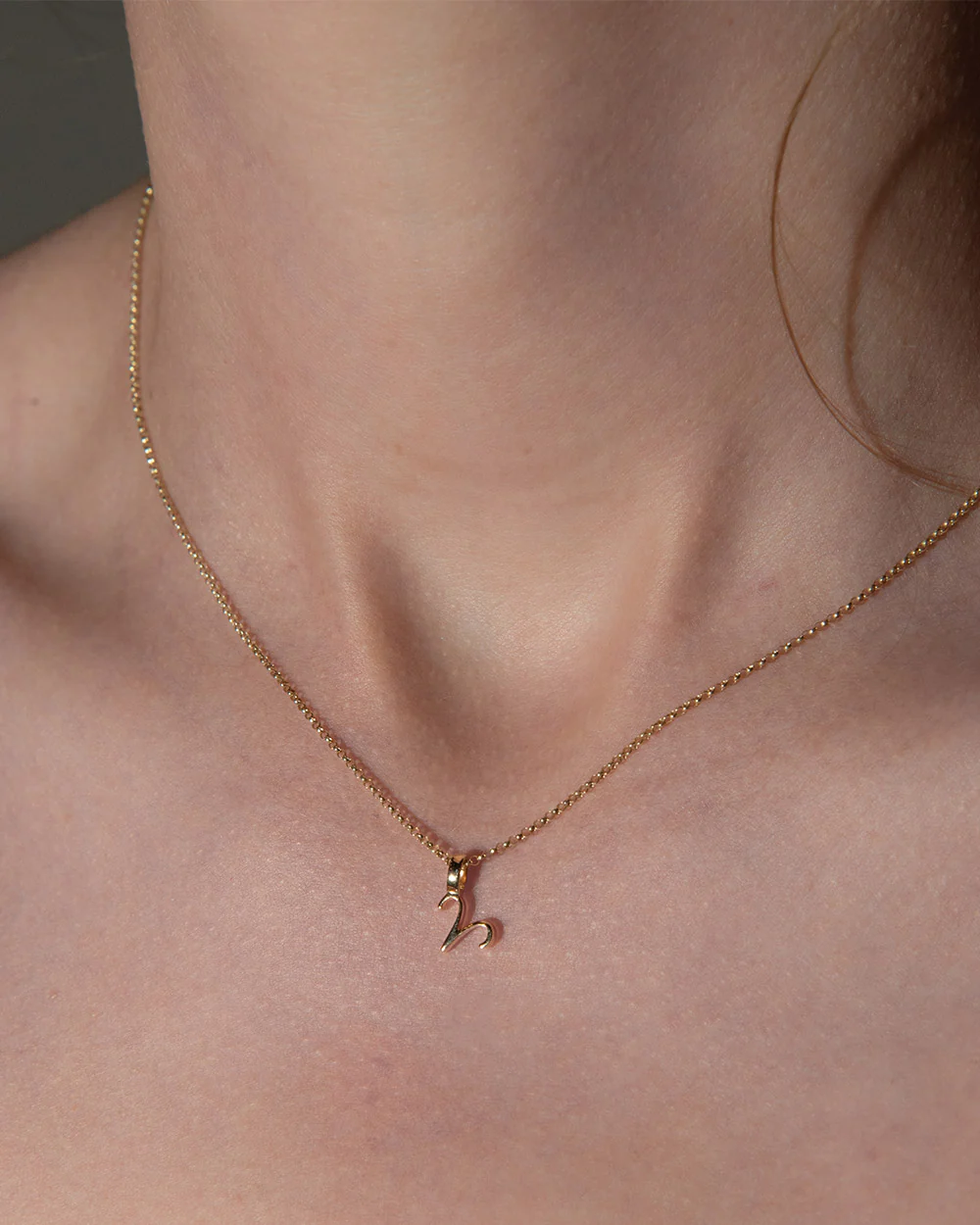 Zodiac Charm Necklace - Image 2