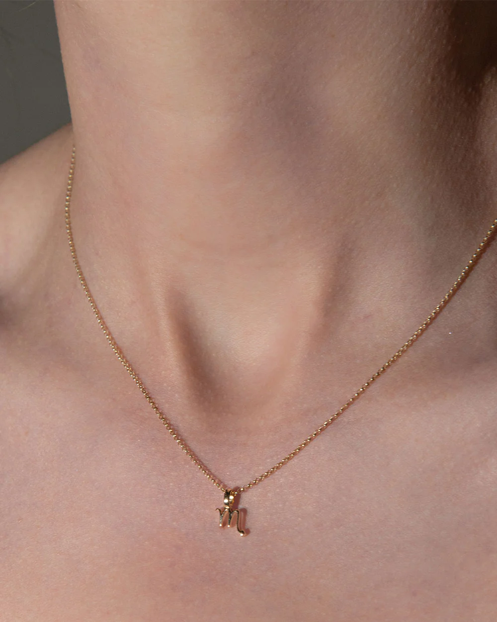 Zodiac Charm Necklace - Image 5