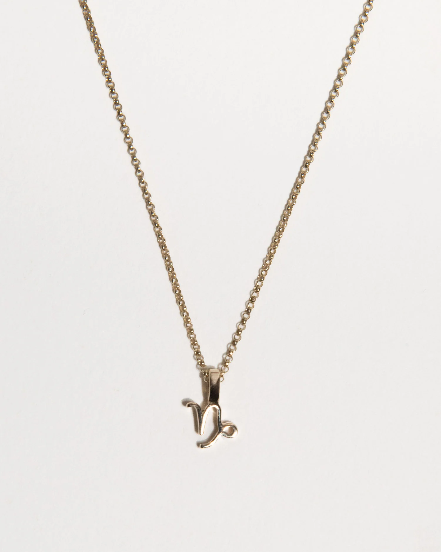 Zodiac Charm Necklace - Image 6