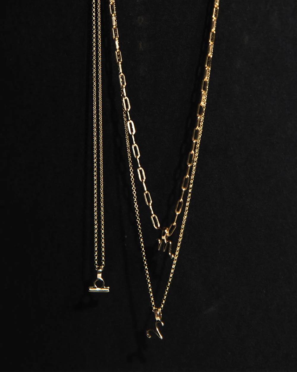 Zodiac Charm Necklace - Image 9