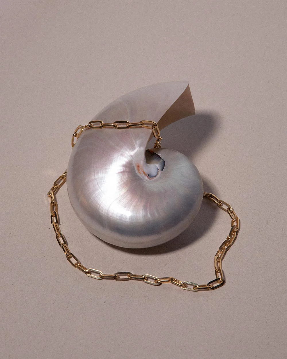 Jumbo Paper Chain Necklace - Image 4