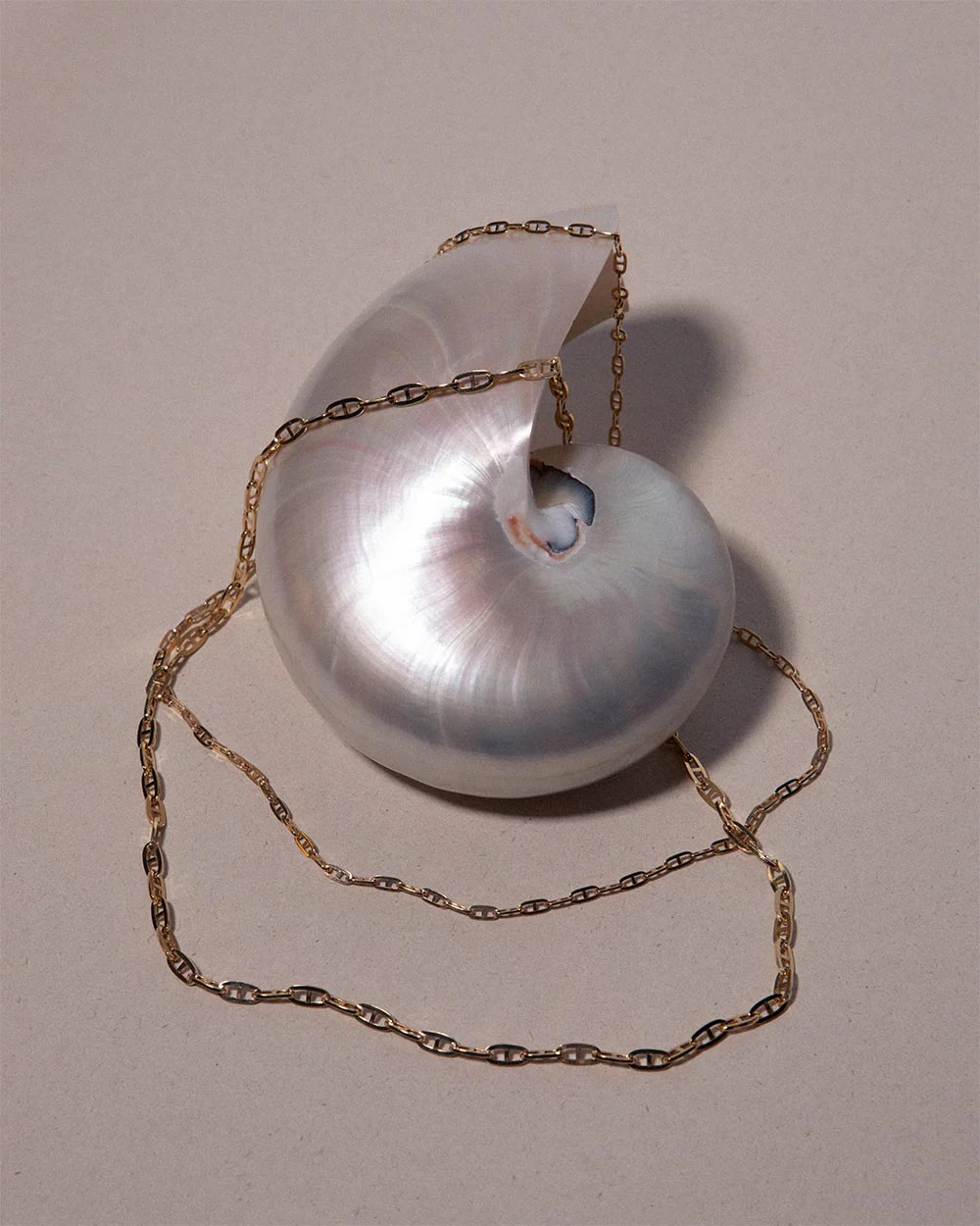 Mariner Chain Necklace - Image 3